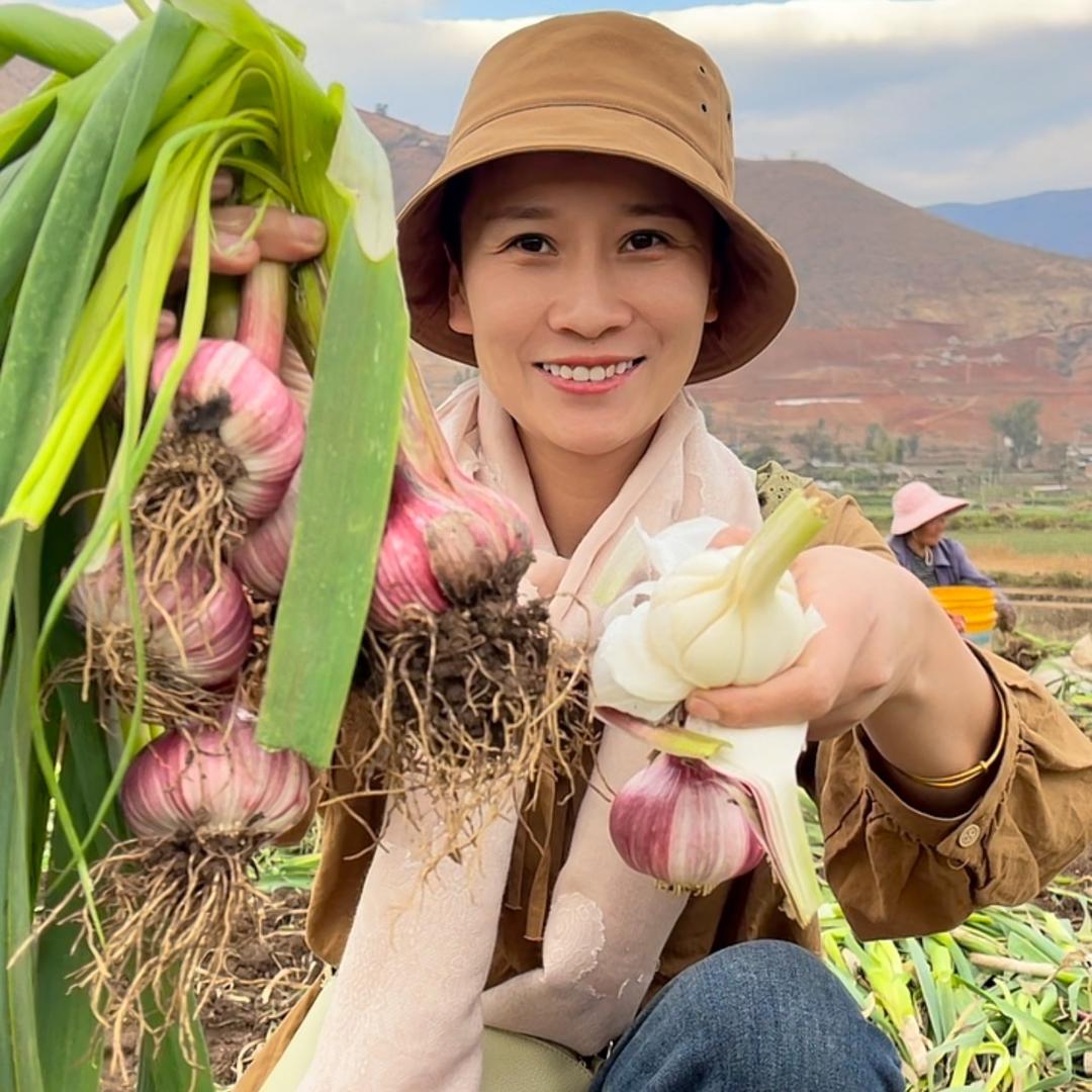 二姑娘的小店