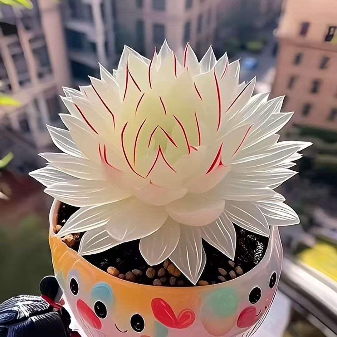 亿鑫花卉