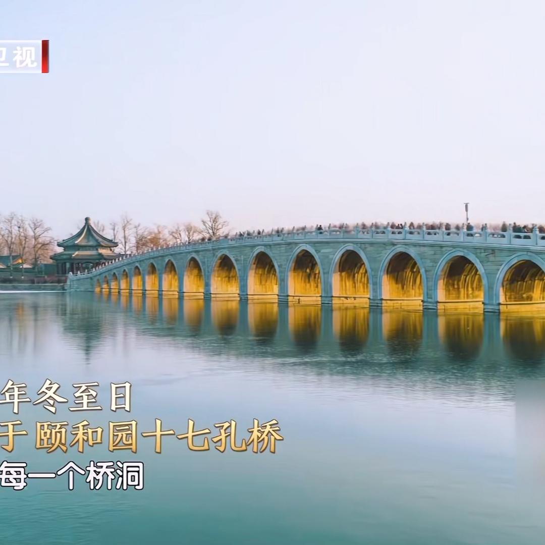 大红燕头像