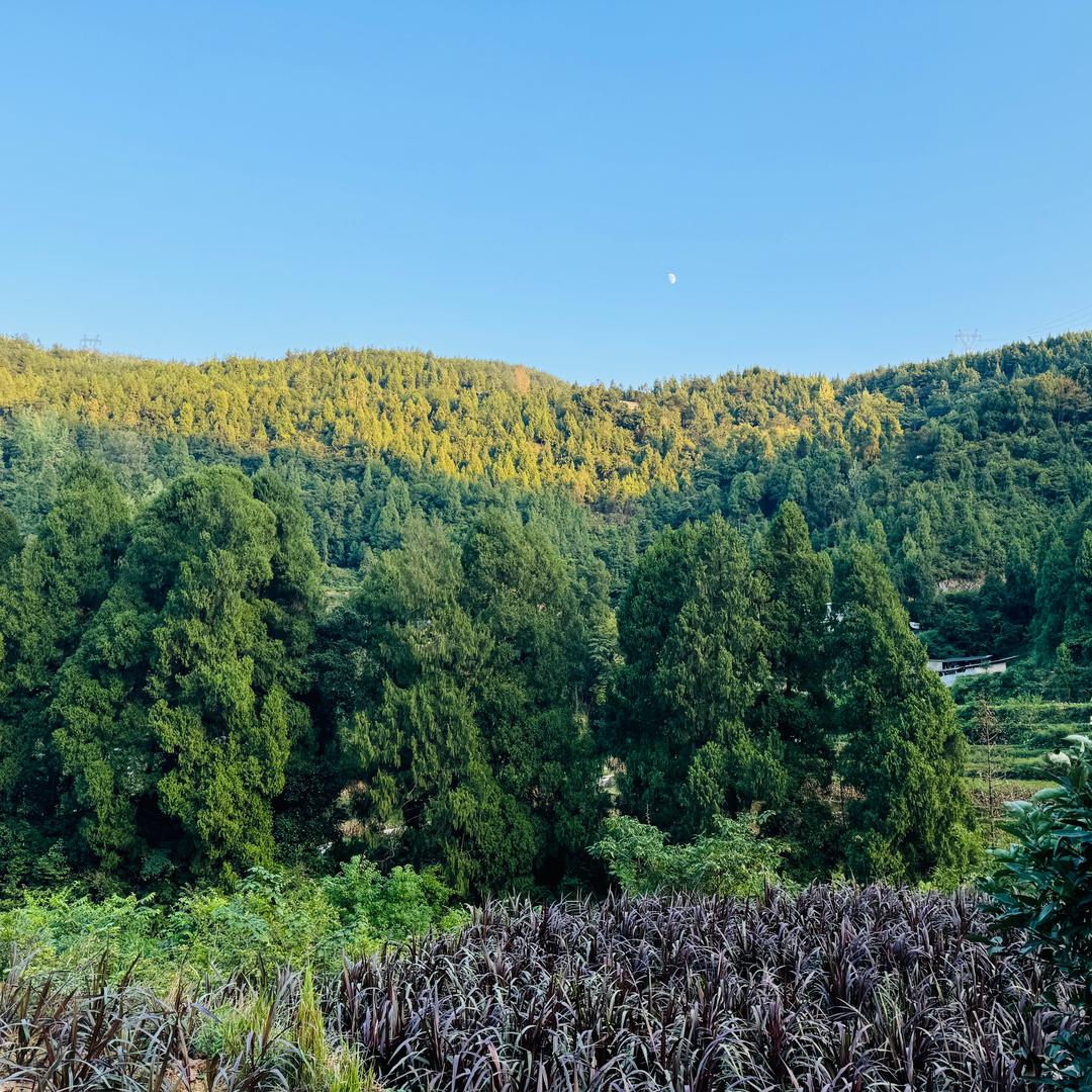 两重山