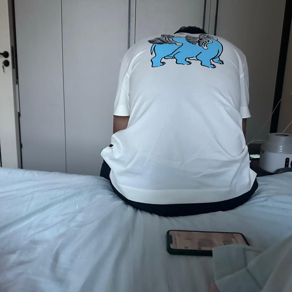 @斑马