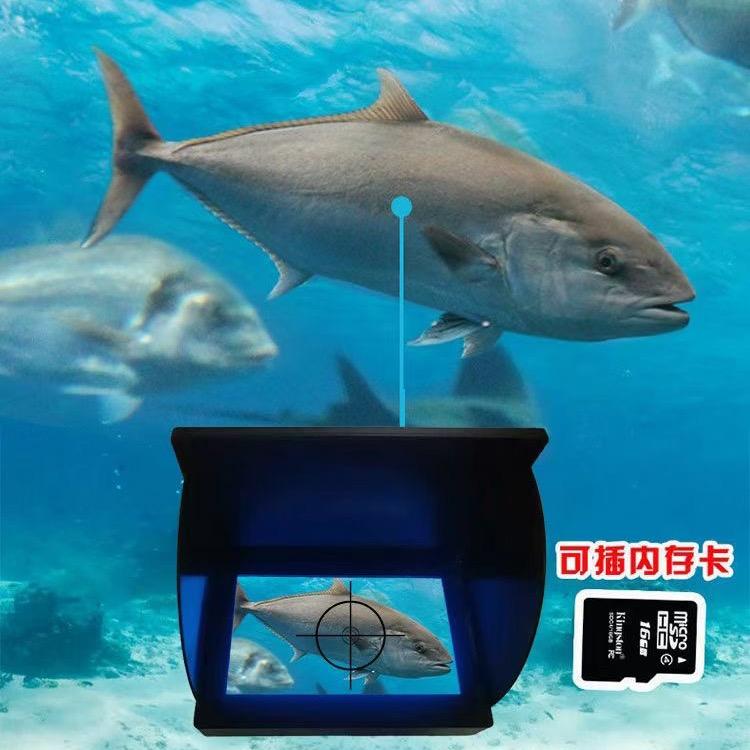 渔具圈直播运营