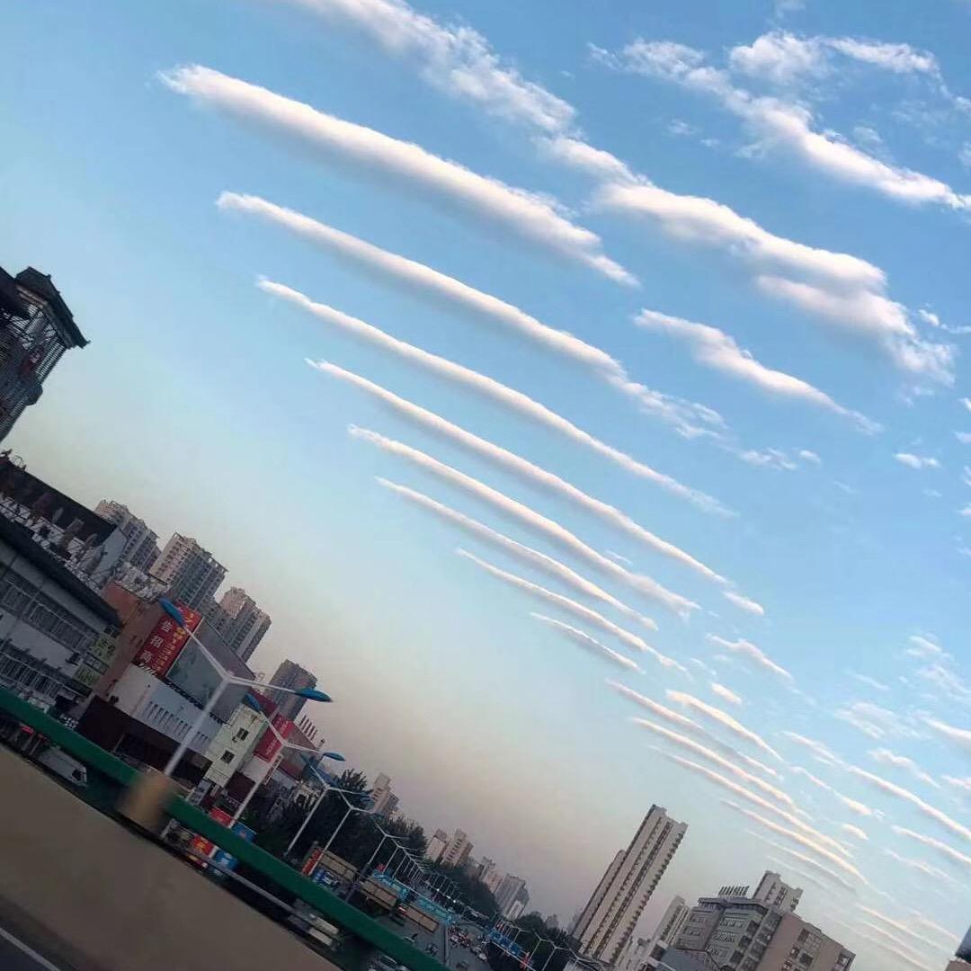 ┏ (^ω^)=☞科