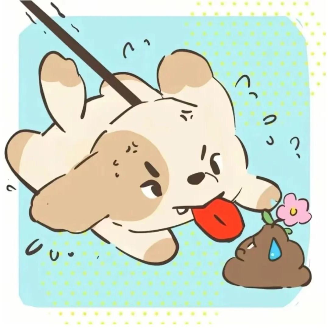张张～