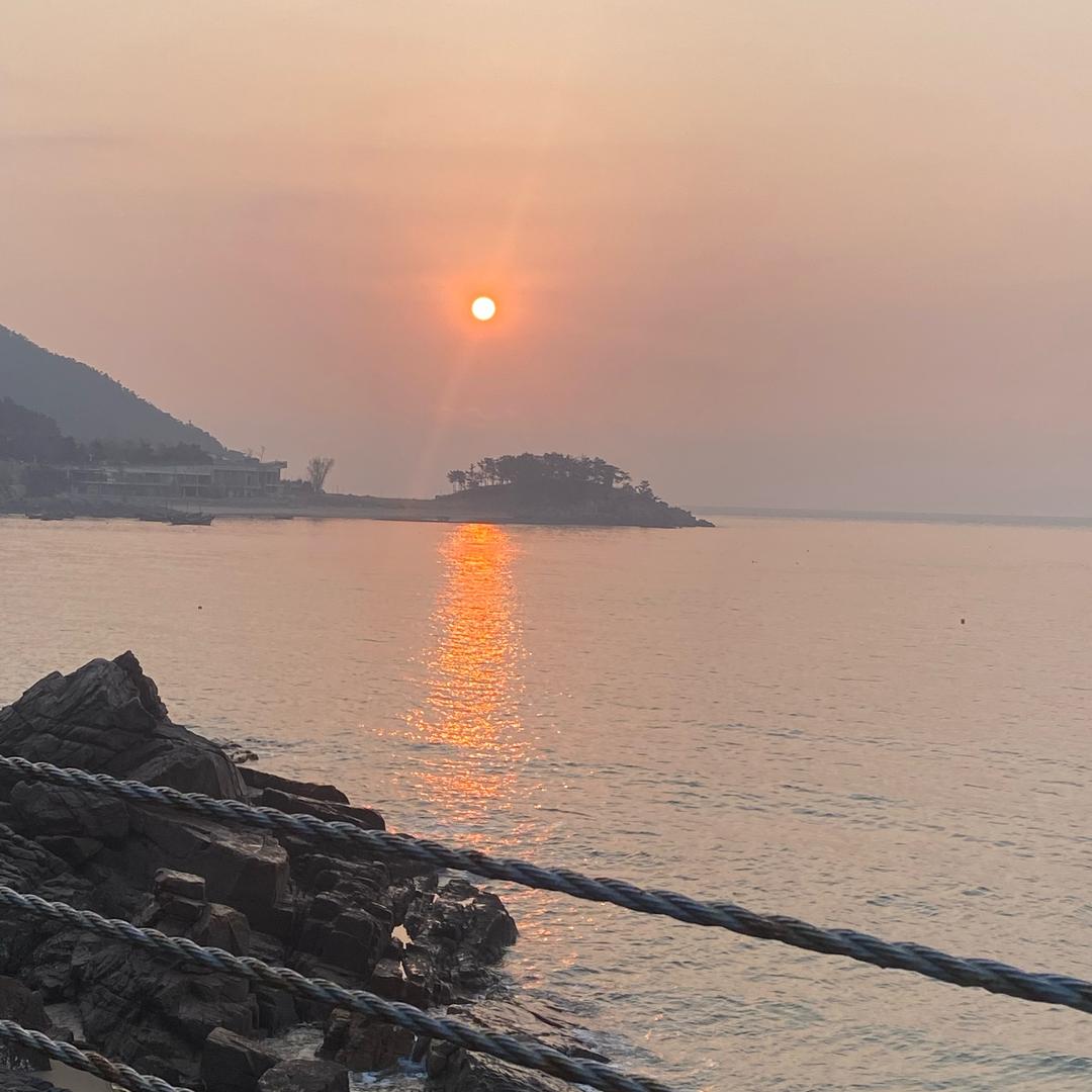 陳心如意