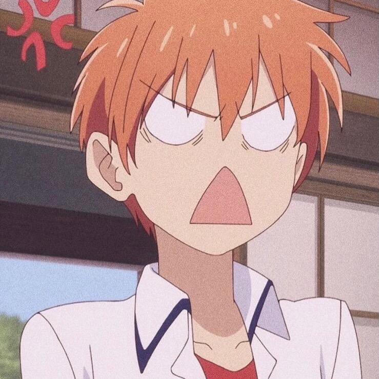 望舒扶光