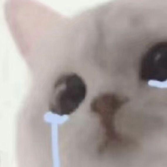 小羊睡不着^>⩊<^੭⑅