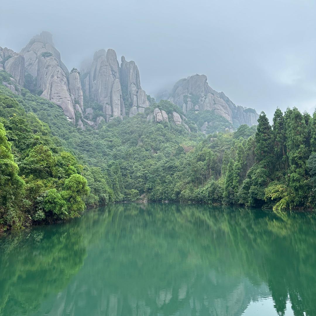 南海泽彭简叁直播号
