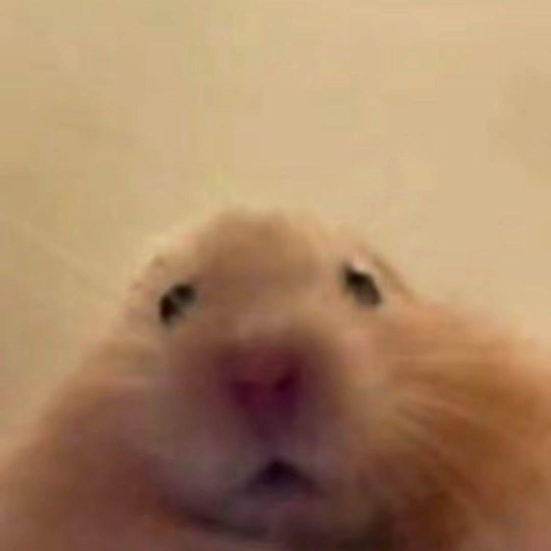 Meixi