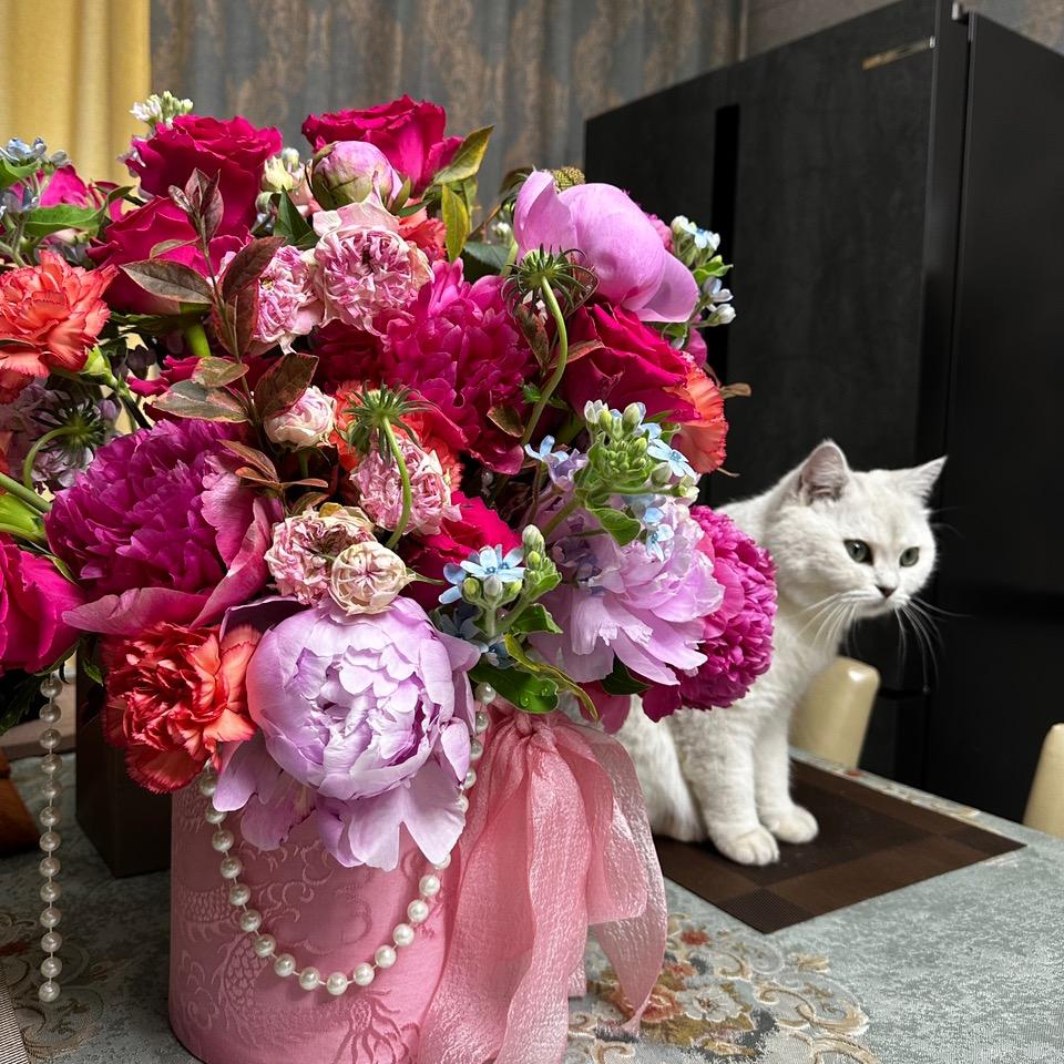 🐱三花最可爱！🐱