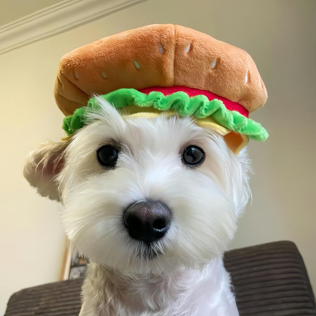 ㅤㅤ牛肉粿条