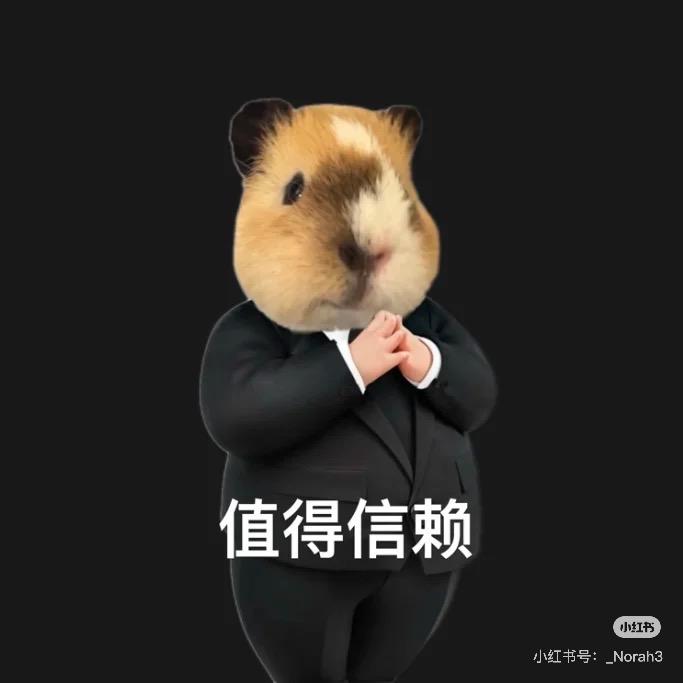 教务小王老师👨‍🏫