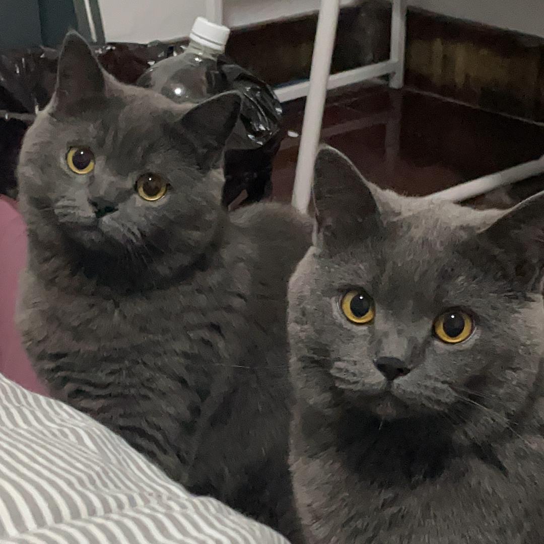 小丽不胖🧘🏻‍♀️