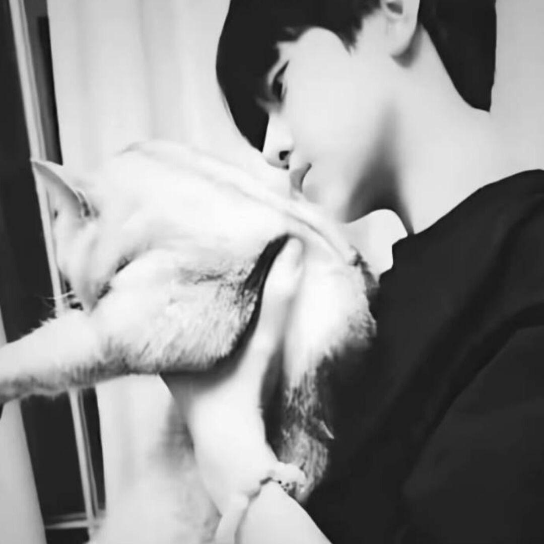 喝不完的忘情水