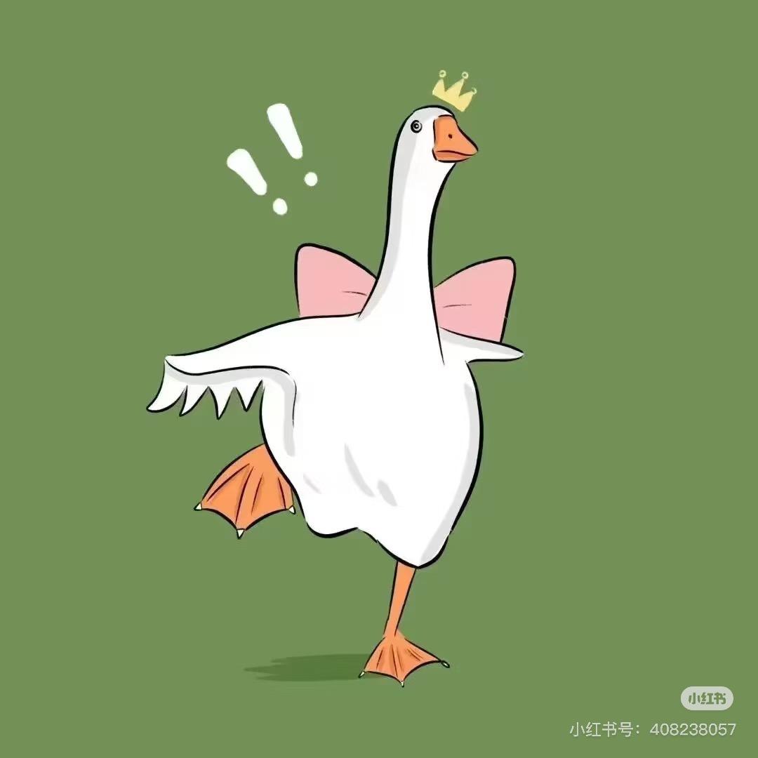 幸运鹅🪿🪿🪿