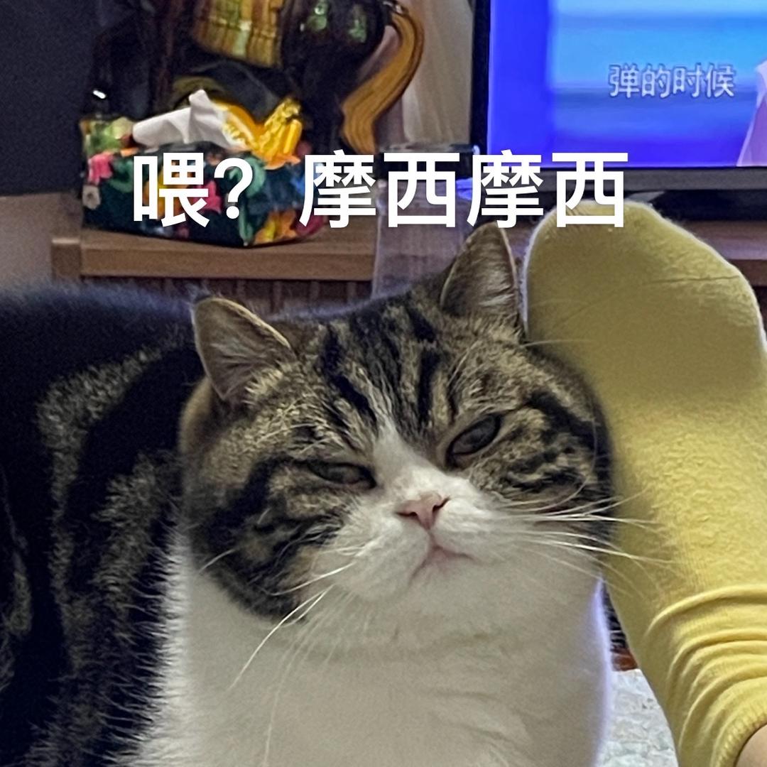 饭粒酱🐹