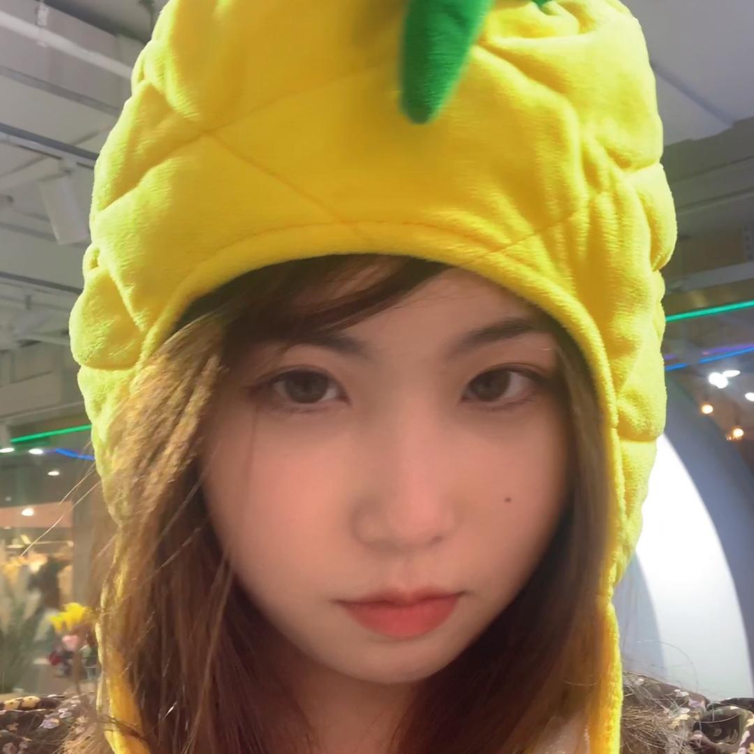 芝乌猪