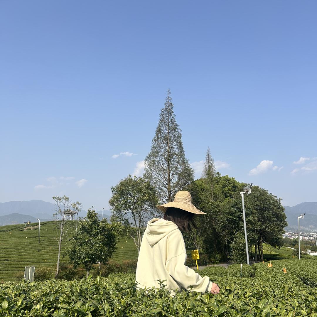 琦源茶铺