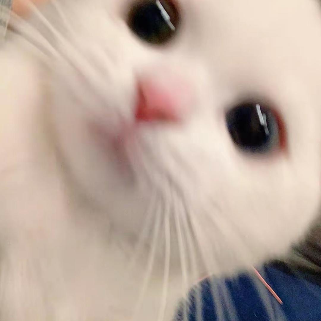 林 周 京