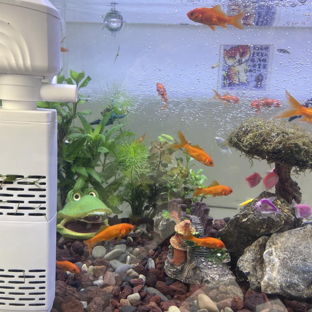 熙熙水族馆