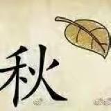 美秋🧚‍♂️