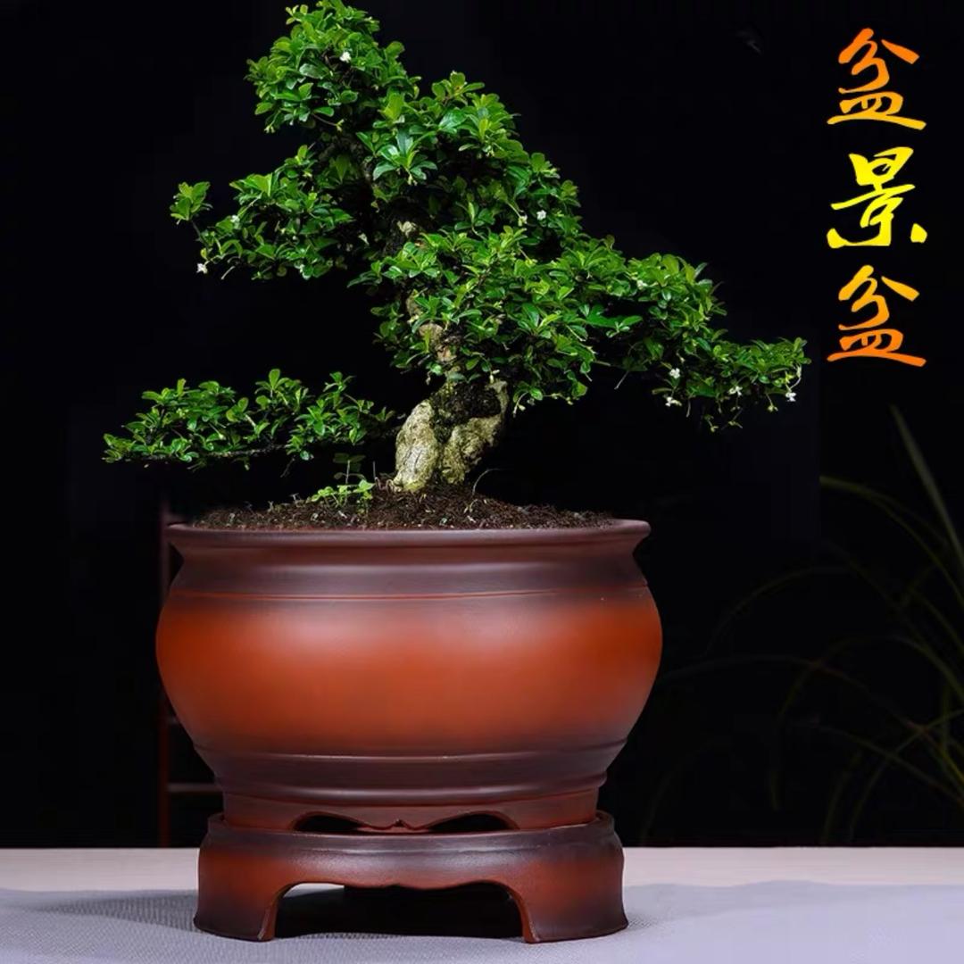 禄益花盆
