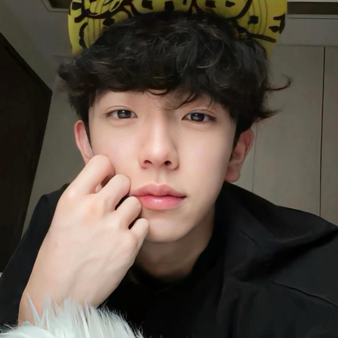 骚到极致便是纯