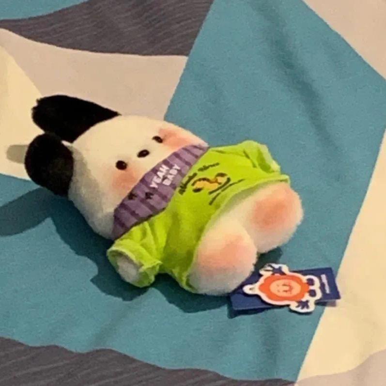 重庆奥陶纪🎀月巴欣
