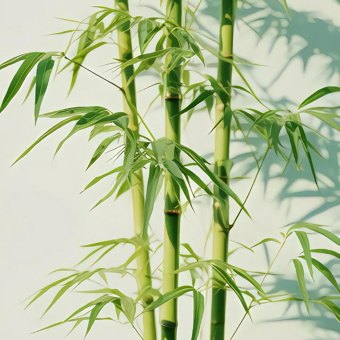 海口美兰区卿派月百货店（个体工商户）