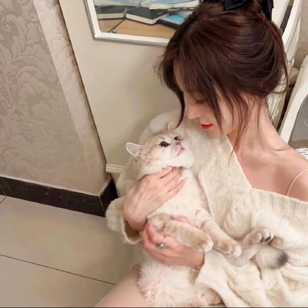 小陌不会摇