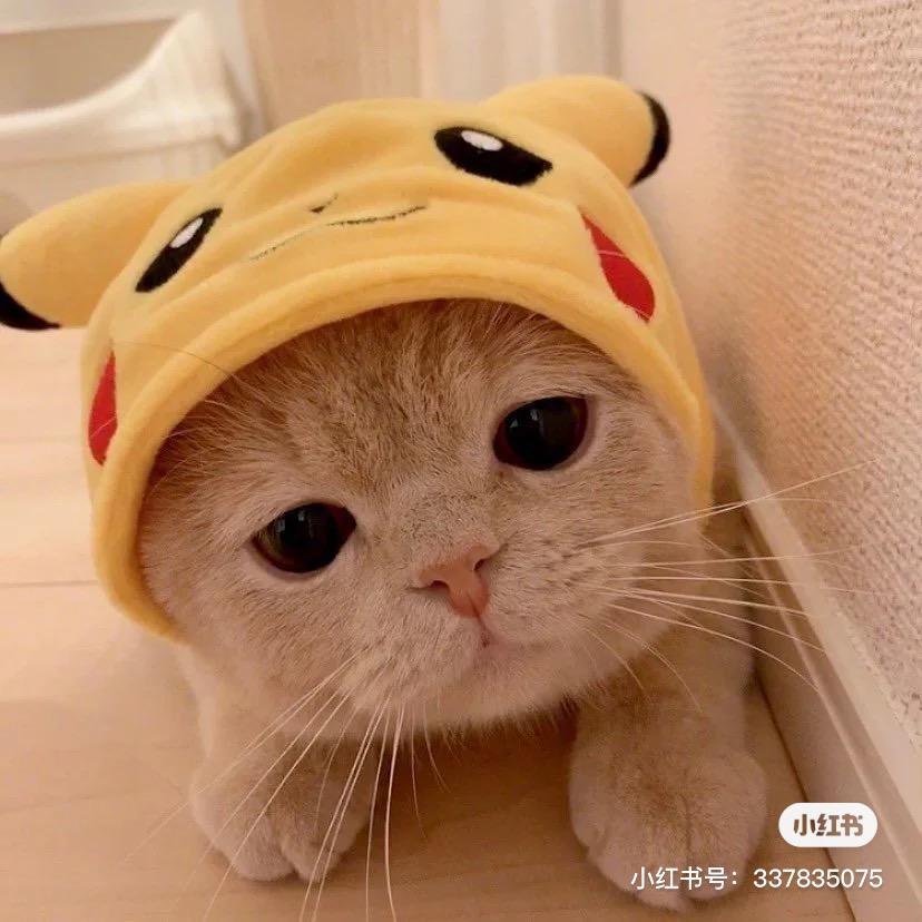 Ming(三角洲行动)