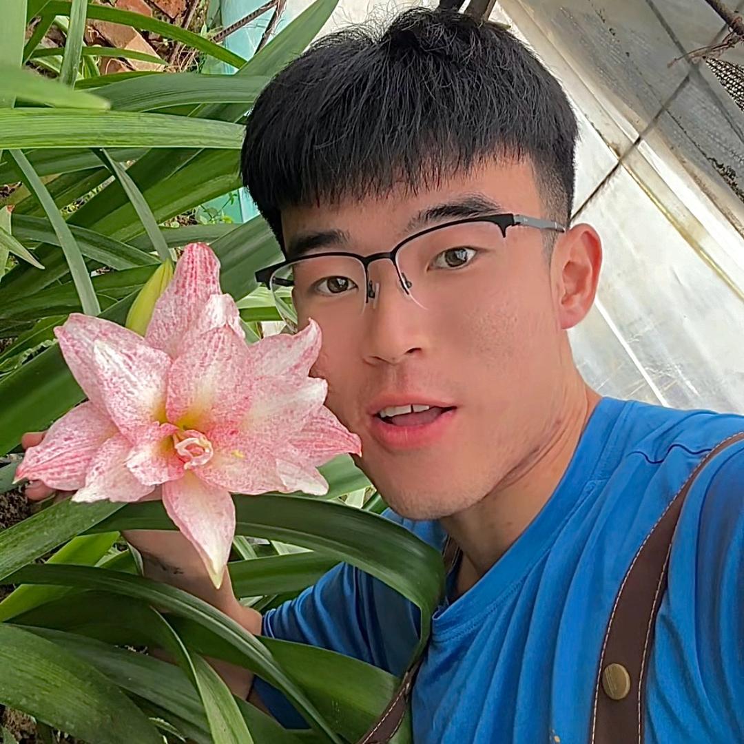 小俏【俏佳人朱顶红花圃2号店】