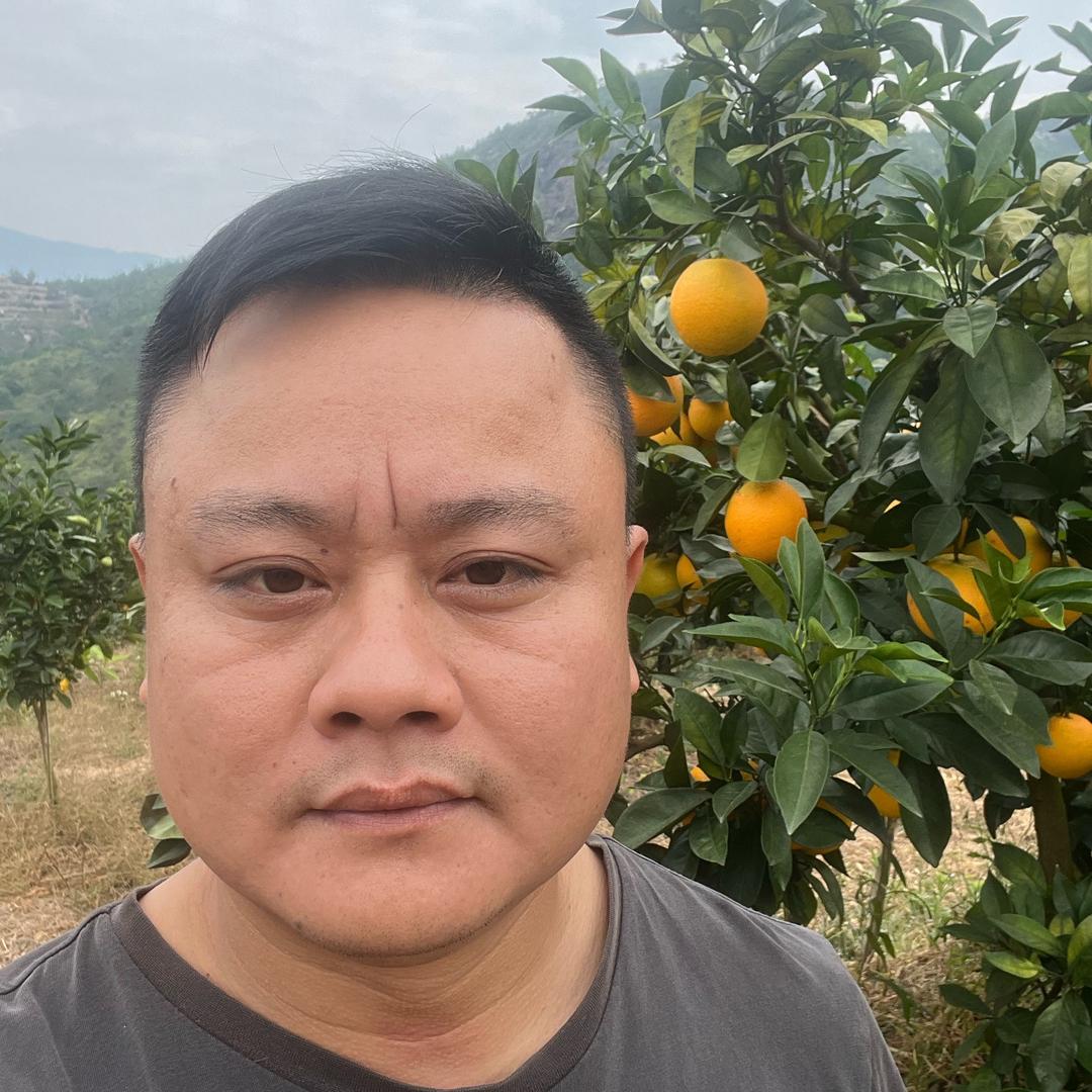 枫树下青拓（脐橙产地批发）