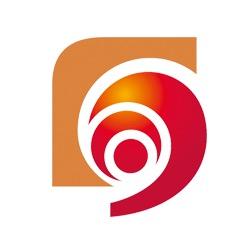 石家庄日报