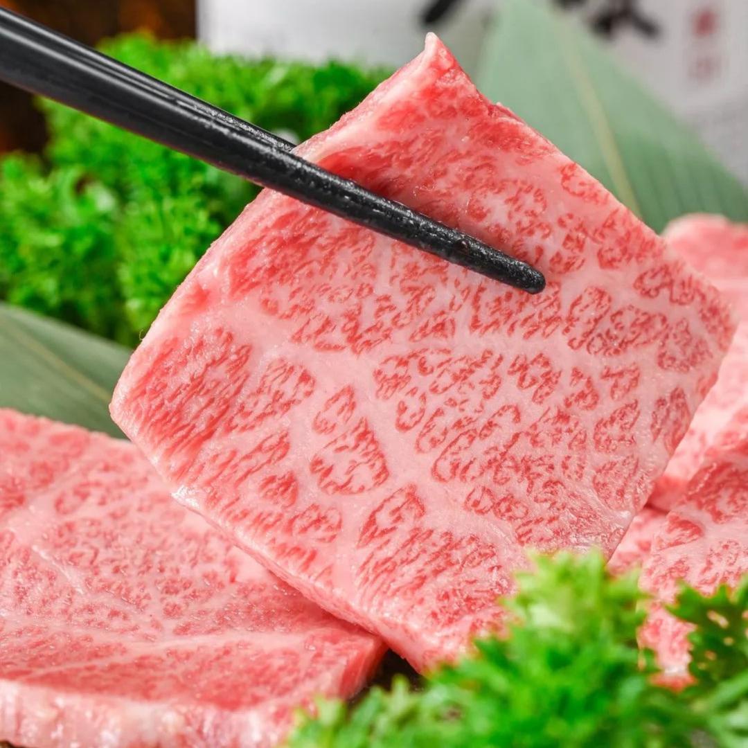 北纬47和牛源头牧场