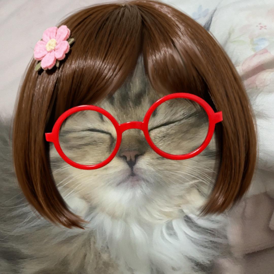 低保与老头皆失