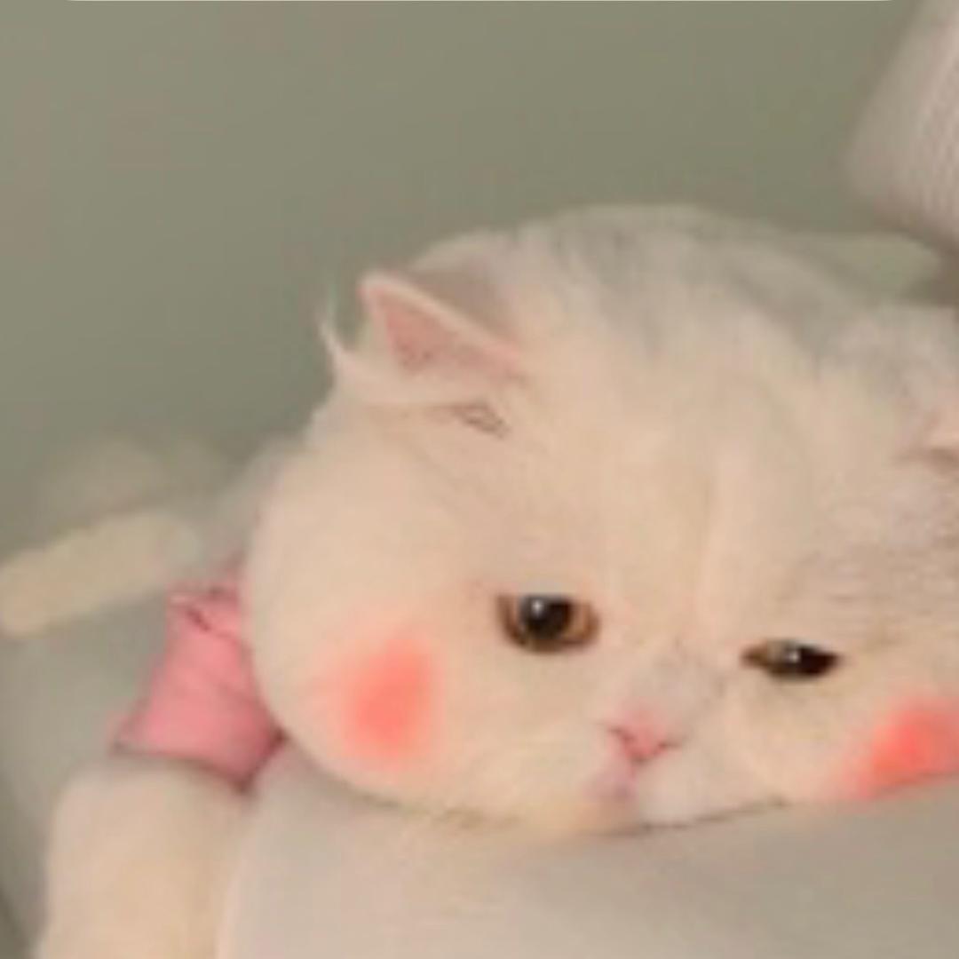 Amy海