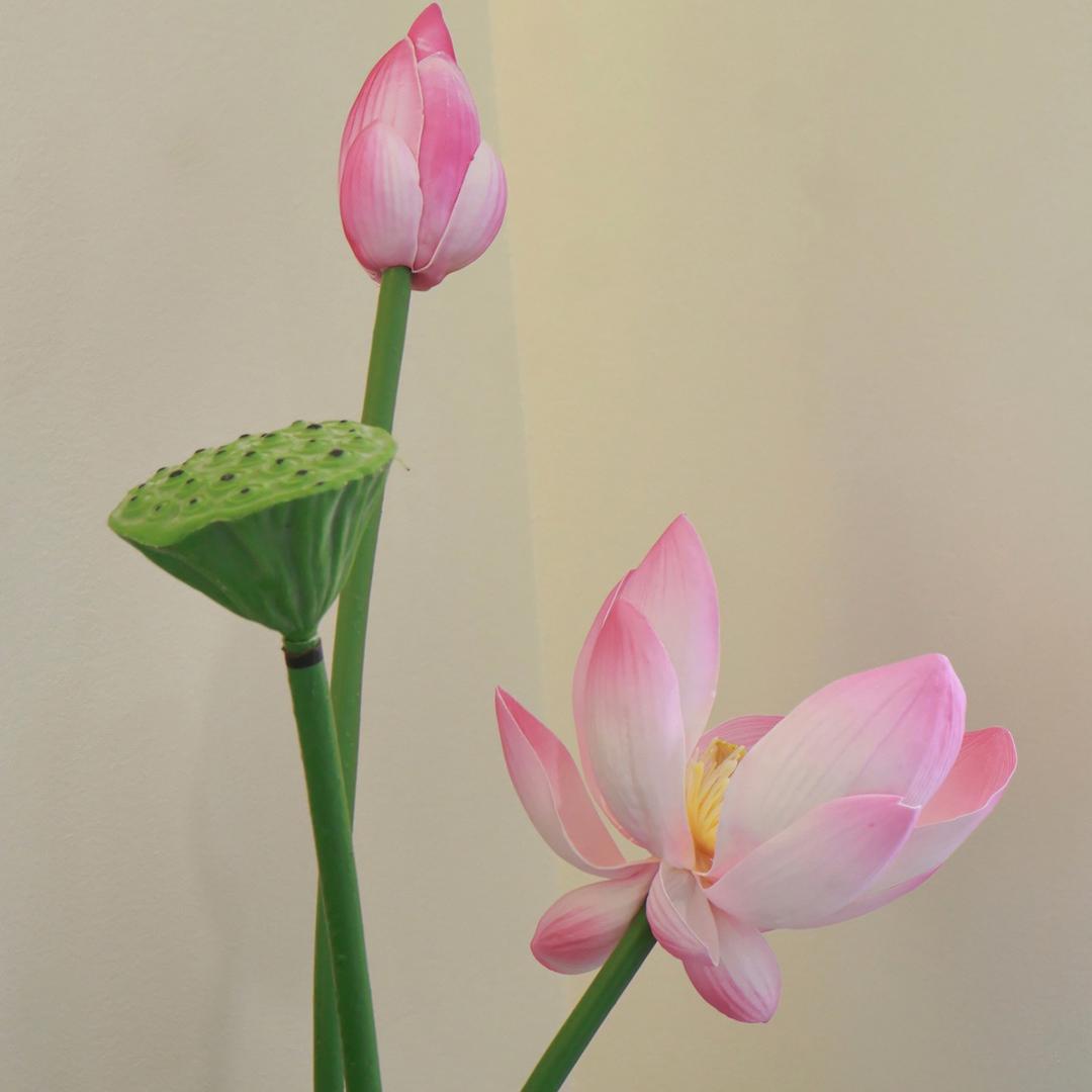 富缘斋