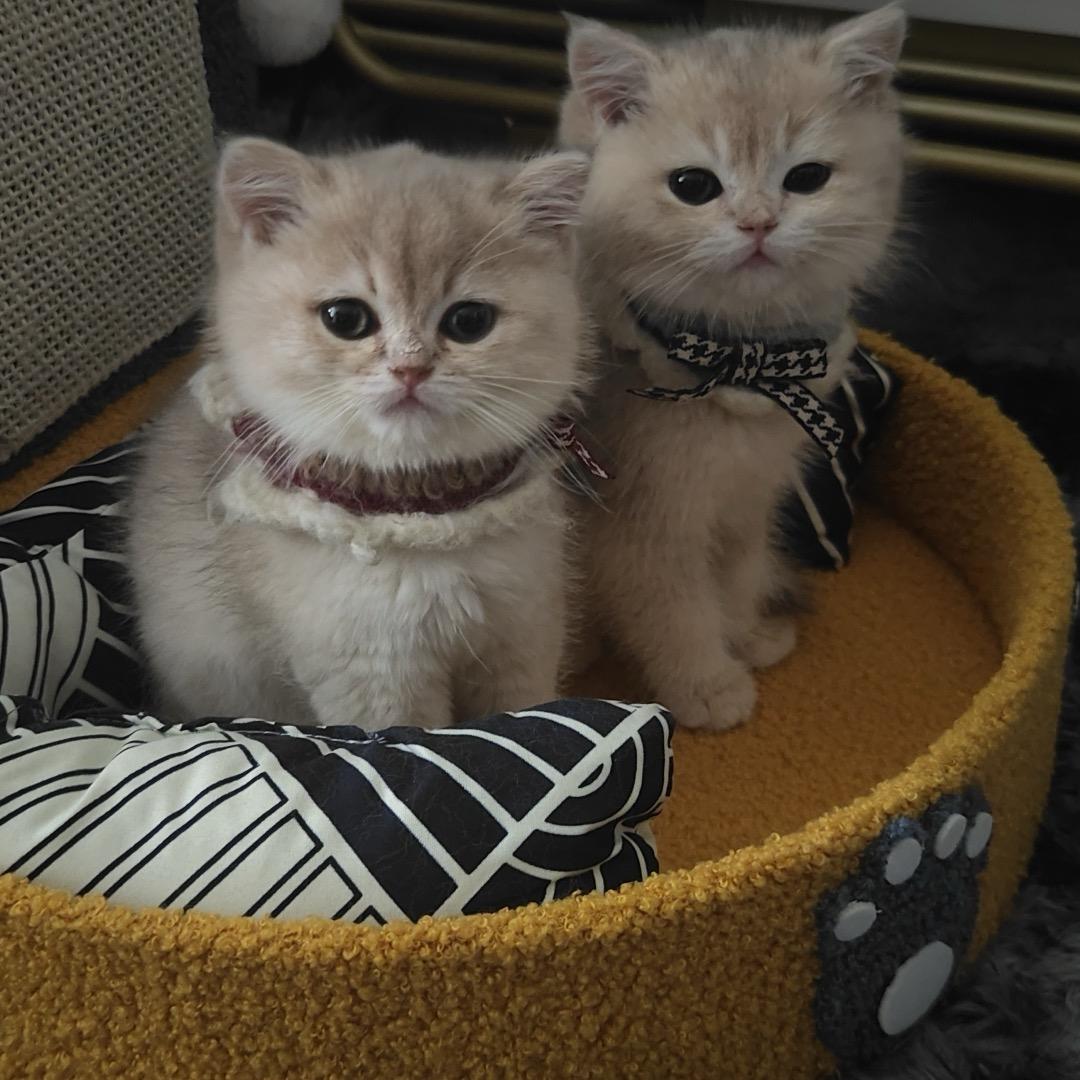 糖是甜唇是红你是奇迹