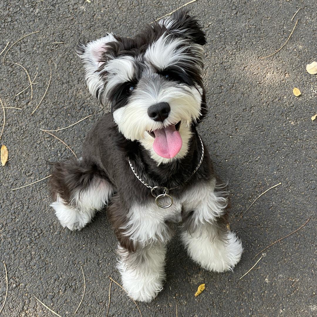 এ᭄虫子🐛⁴²⁰