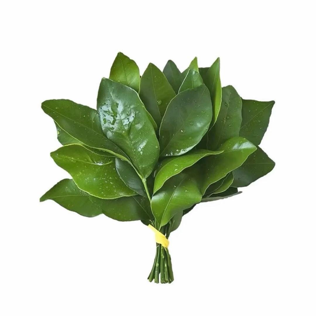 Yiyi