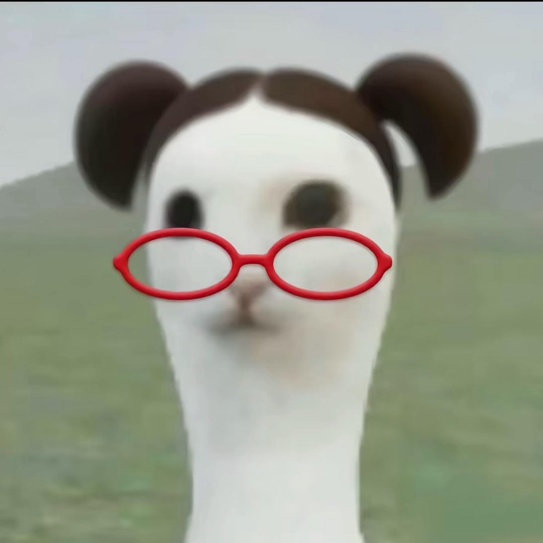 楠楠子