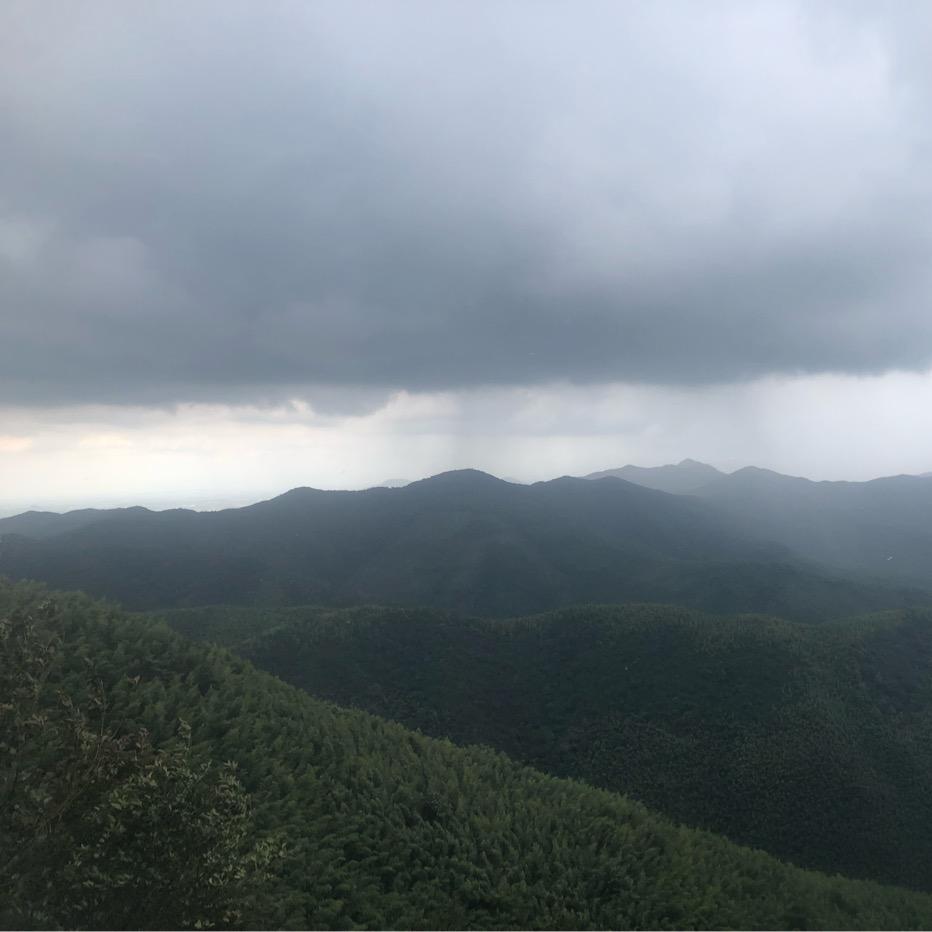 小Q猪