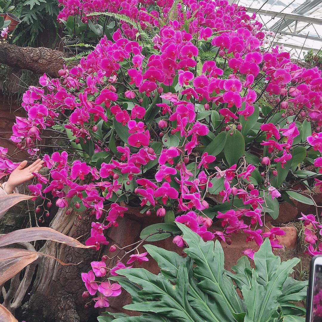 💐为你停刘💐