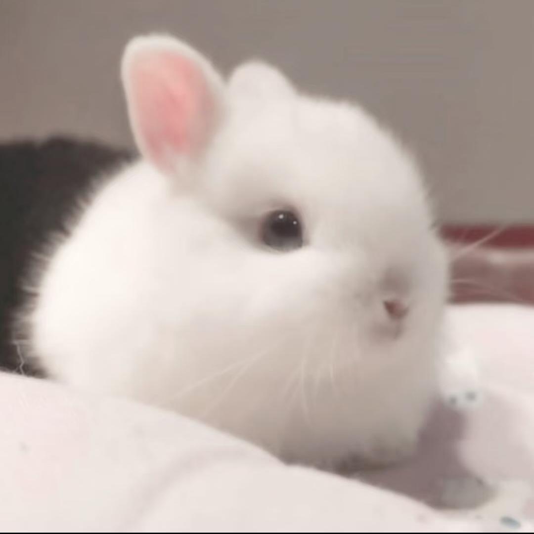 yukiii❅*