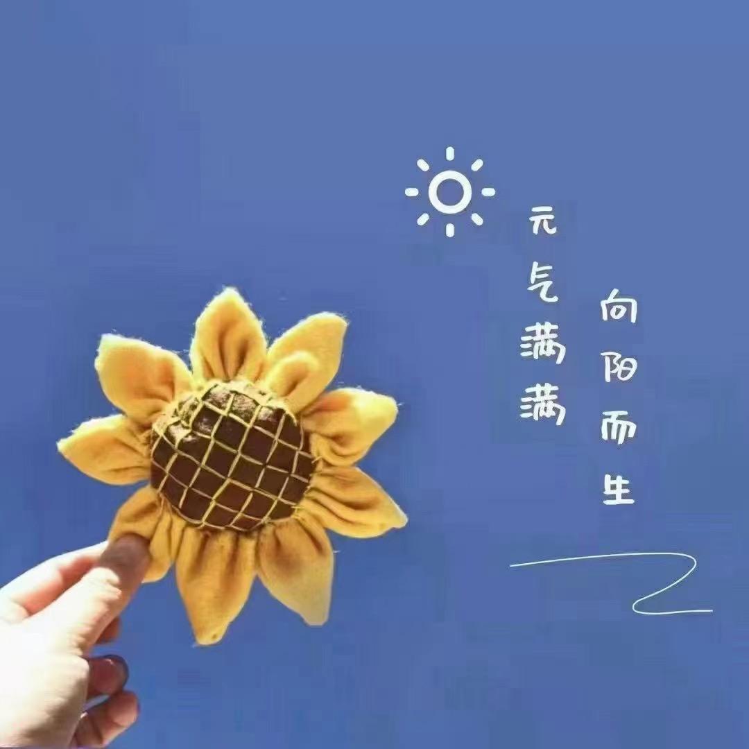 华华世界