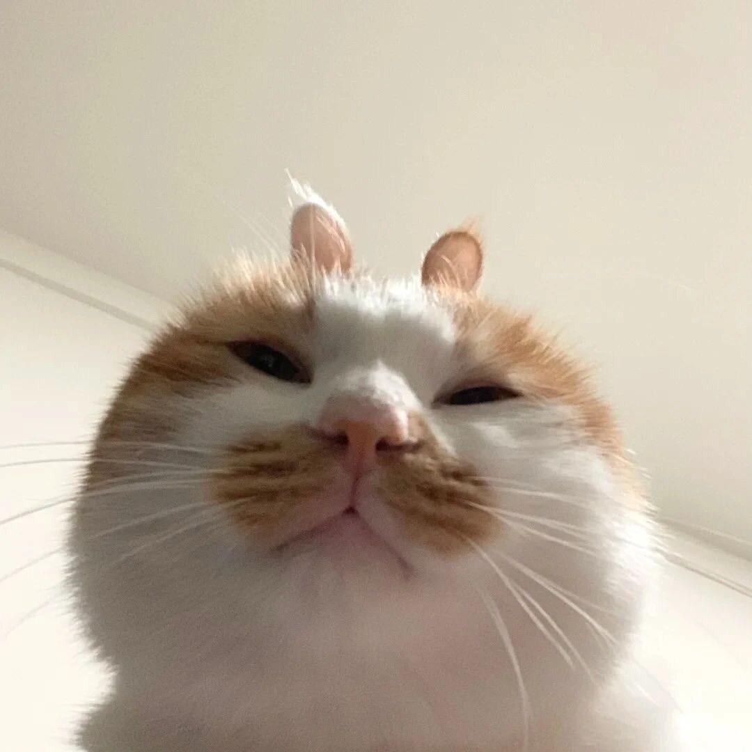 离自行