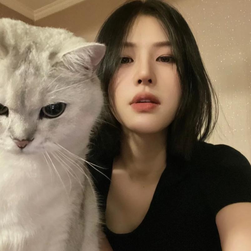 王婉婉.