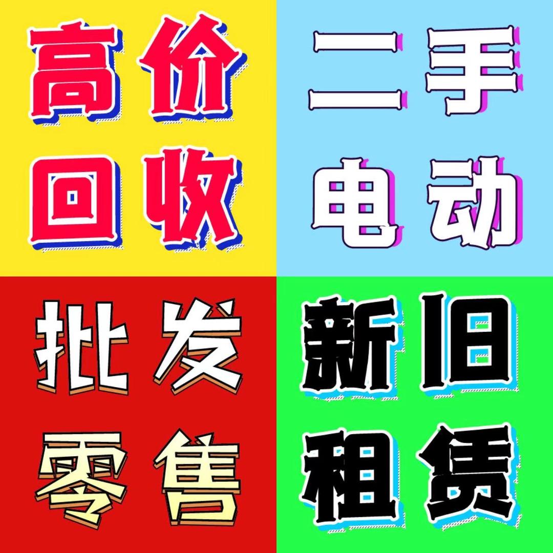 西丰二手电动车