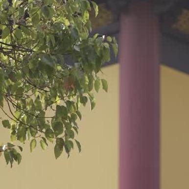 觉心师傅